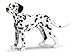 Schleich Male Dalmatian