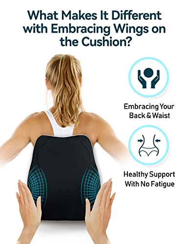 TRAVEL EASE Ergonomic Lumbar Support Cushion, Memory Foam Back Support for Car Seat Office Chair Gaming Chair, Backrest with Skin-friendly Cover & Dual Adjustable Straps, Black