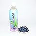 VIVALOE Blueberry Aloe 16.9fl oz (12 Pack)