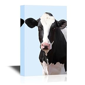 A Cow on Fresh Blue Background