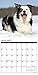 Just Border Collies 2017 Wall Calendar (Dog Breed Calendars)