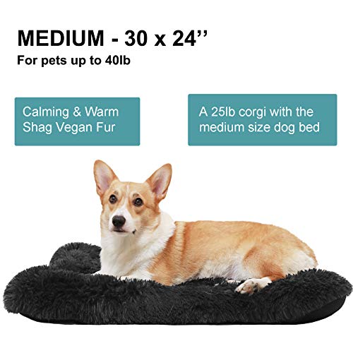 medium dog crate bed