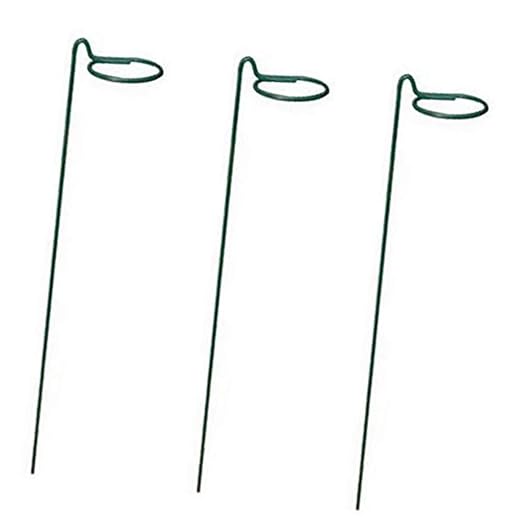 Sweo Paquete de 3 Anillos de Soporte para Tallos de Plantas de ...