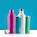 Corkcicle Canteen Classic Collection - Water Bottle & Thermos - Triple Insulated Shatterproof Stainless Steel, Gunmetal, 25 oz