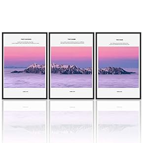 signwin 3 Piece Framed Canvas Wall Art Beautiful...