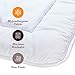 Over the Floor Ultra-Plush Comforter, Hypoallergenic Polyester Duvet Insert (Twin)