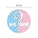 Gender Reveal Stickers Team Pink and Team Blue Shower Sticker Labels 42 Pack