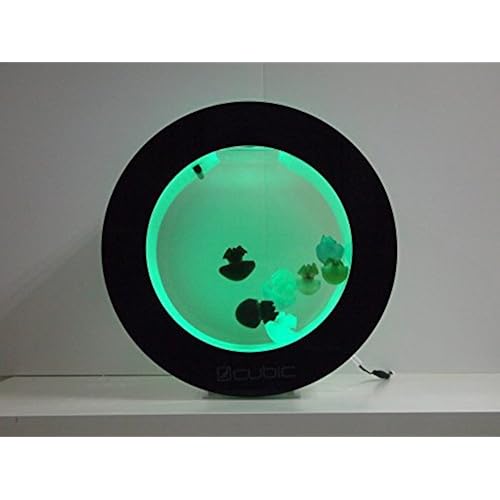 collection of cool unique weird amazon gift items