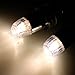 AGPtek 12x LED LED Party Lights Non-Blinking Waterproof Lights For Paper Lanterns Balloons Floral or Wedding Decorations (Warm-White)
