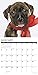 American Pit Bull Terrier Puppies 2019 Wall Calendar (Dog Breed Calendar)