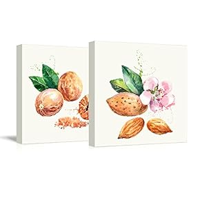 2 Panel Square Canvas Wall Art - Nutmeg and Almond Watercolor | Fruits Watercolor Art and Illustrations - Giclee Print Gallery Wrap Modern Home Art Ready to Hang - 12"x12" x 2 Panels