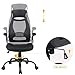 OWLN Ergonomic High Back Mesh Office Chair with Adjustable Headrest and Armrest Desk Chair