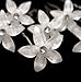 CB Accessories White Flower Hair Pins with Rhinestone Crystal for Wedding, Prom, Dance and Special Event (Set of 8)