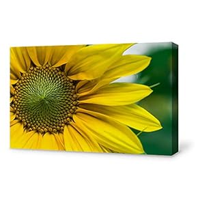 SIGNFORD Canvas Wall Art for Living Room,Bedroom Home...