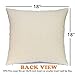 AENEY Fall Buffalo Check Plaid Pumpkin Throw Pillow Cover 18 x 18 for Couch Autumn Decorations Farmhouse Home Decor Thanksgiving Decorative Pillowcase Faux Linen Square Cushion Case for Sofa