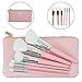 Posh Beauty Co. (TM) Makeup Brushes Premium Synthetic Foundation Powder Concealers Eye Shadows Makeup 7 Pcs Brush Set, Rose Silver
