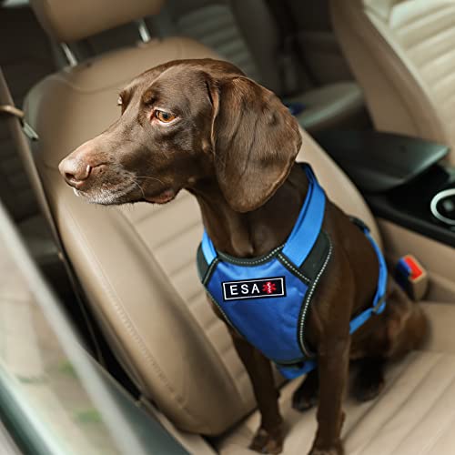 TACVEL 2 Pieces Emotional Support Animal Patch for Dog, Vest Removable Tactical Patches Hook and Loop Harness American Flag Dog Patches Set for Dog Harness Vest Collar