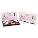 Coastal Scents Passport to Paris Eye Shadow Palette (PL-062)