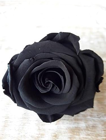 Rosa Preservada Negra en caja de Regalo: Amazon.es: Jardín