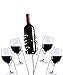 Yohino Wine Stakes 5pc Reinforced Double Brace Stainless Steel Glass and Bottle Holders for Picnics