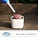KALIM 12 Pieces Succulent Plant Tools, Mini Planting/Transplanting Gardening Tool Set for Indoor Miniature Garden Plant Care(Blue)thumb 2