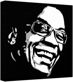 Focus on Writing: Paragraphs and Essays (A Cust... 031255737X Book Cover