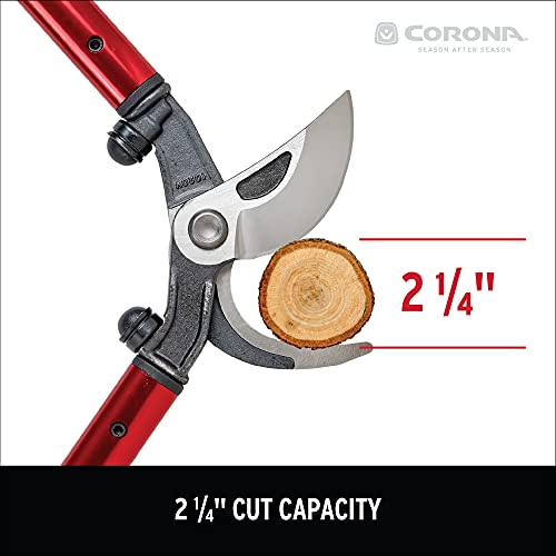 Corona Tools | 32-inch Branch Cutter MAXFORGED Orchard Loppers | Tree Trimmer photo 12