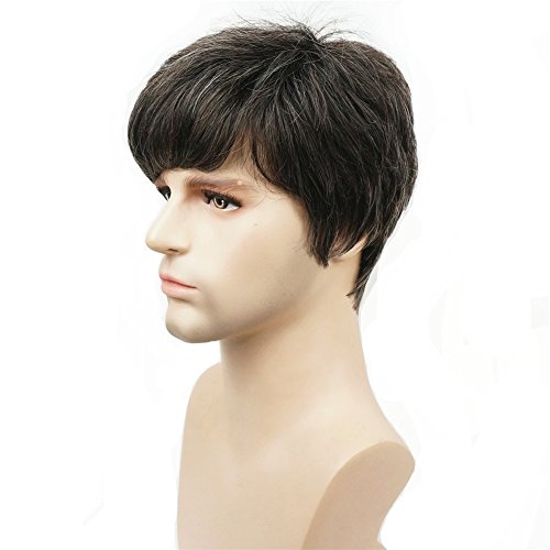 Aimole Synthetic Short Men Wigs Natural Body Wave Hair Heat Resistant Full Capless Wig