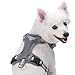 Blueberry Pet Soft & Comfy 3M Reflective Dog Harness Vest | Mesh Padded No Pull Dog Harness w/Back Clips | Multi-Colored Stripe - Ginger and Blue | Reflective Dog Harness for Large Dogs