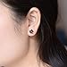 AllenCOCO 18K Gold Plated Black Rose Flower Stud Earrings for Women