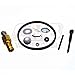 Tecumseh 31840 Carburetor Repair Kit