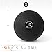 Day 1 Fitness Weighted Slam Ball, 15 LB, Black