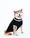 SPOT Ethical Products Fashion Pet Classic Cable Sweater | Dog Sweater | Leash Hole | Stylish Turtleneck Design | 100% Acrylic , Warm and Comfortable | Black | SMALL | By Ethical Pet