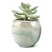 T4U 2 Inch Small Ceramic Succulent Planter Pots with Drainage Hole Set of 6, Mini Pots for Succulent Cactus Porcelain Sagging Glazed Handicraft Gift Best for Home Office Table Desk Decoration