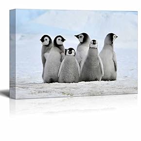 Little Baby Penguins - Canvas Art