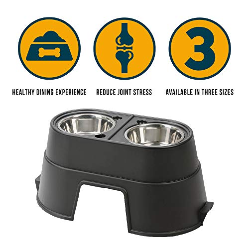 The 5 Best Dog Bowls [2022 Review]