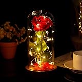 Beauty and the Beast Enchanted Rose in a Glass Dome With Necklace and Love Letter Inspired by Disney Collectibles Decor | Everlasting Belle Rose | For Her