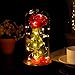 Beauty and the Beast Enchanted Rose in a Glass Dome With Necklace and Love Letter Inspired by Disney Collectibles Decor | Everlasting Belle Rose | For Her
