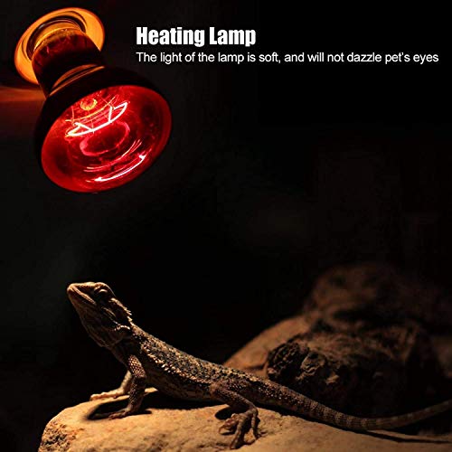 Bearded Dragon 100 Watt Reptile Heat Bulb Bearded Dragon Lights Uvb And Heat Reptile Heat Lamp Bulbs 100W