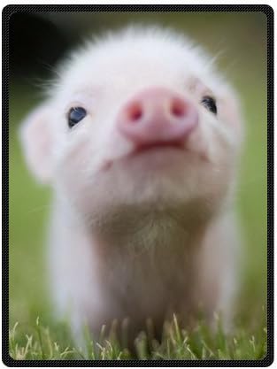 58"(W)x80"(L) (Large) Anti Pilling Popular And Cheap Pig Lovely Fleece Blanket Throws