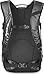 Dakine Heli Pro 20L Backpack, Storm - OS