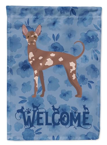 Caroline's Treasures CK6021CHF Mexican Hairless Dog #2 Welcome House Flag Large…
