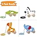 Pidoko Kids Pull Along Walking Toys - 4 Animals Gift Set for Toddlers Boys and Girls