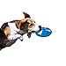 Nerf Dog Classic Flyer Dog Toy, Flying Disc, Lightweight, Durable and Water Resistant, Great for Beach and Pool, 6.5 inch diameter, for Medium/Large Breeds, Single Unit, Blue