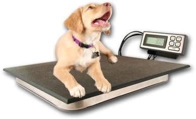ZIEIS | 80 Lb. Capacity | Pet and Veterinary Series - Digital Dog Scale | P80-DURA1916 | 19 X 16 BigTop Dura Platform | 0.1 Lb. Accuracy by ZIEIS