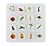 First Vegetables Collectible Wooden Magnet Set