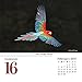 Turner Photo 2017 Bird Watching Photo Daily Boxed Calendar (17998970000)