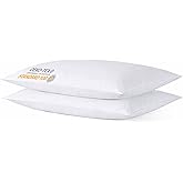 iFaon Thin Flat Slim Ultra Soft Bed Pillows Standard Size Set of 2 Pack for Sleeping, Bed Pillow for Stomach Back and Side Sleepers, Machine Washable 20x26 inches