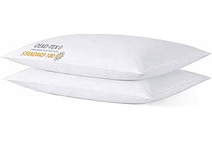 Thin Flat Slim Ultra Soft Bed Pillows Standard Size Set of 2 Pack for Sleeping, Bed Pillow for Stomach Back and Side Sleepers