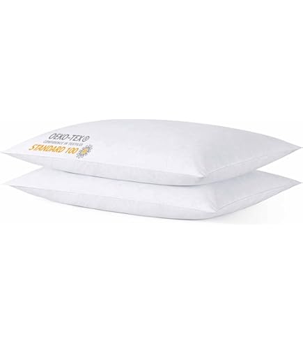 Oreiller Fin Oreiller 40x70 Lot De 2 Pour Le Lit Coussins Pour Dormir Et, Oreiller 40x70 - Ca Oreiller 30x40